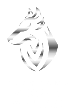 Programa Lobos de Ventas